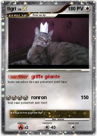 Pokemon tigri
