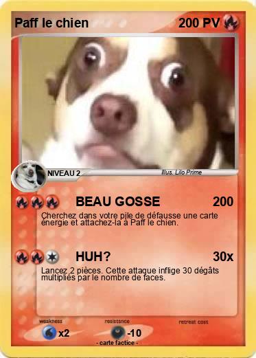 Pokemon Paff le chien