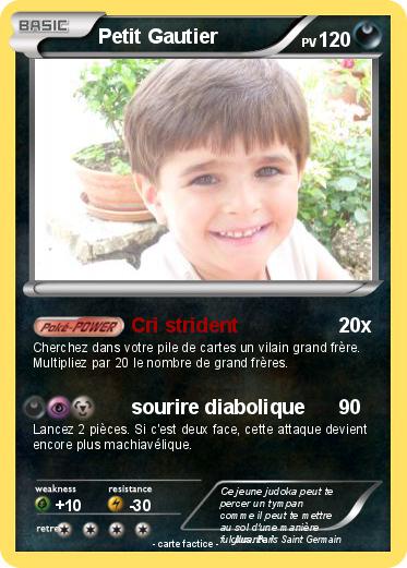 Pokemon Petit Gautier