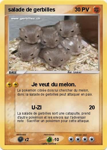 Pokemon salade de gerbilles