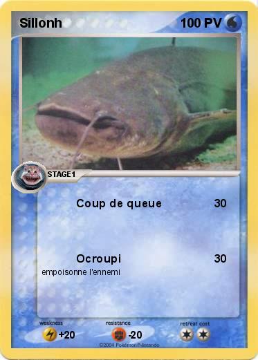 Pokemon Sillonh