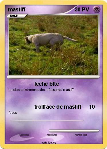 Pokemon mastiff