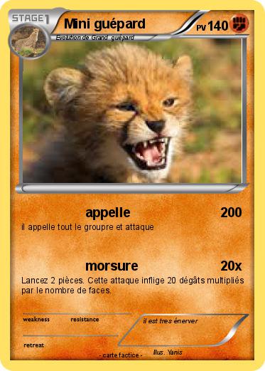 Pokemon Mini guépard