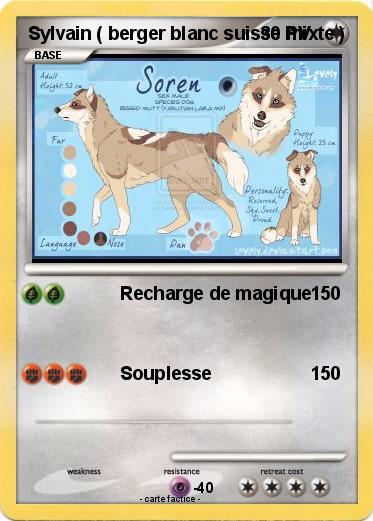 Pokemon Sylvain ( berger blanc suisse mixte )