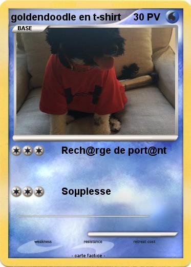 Pokemon goldendoodle en t-shirt