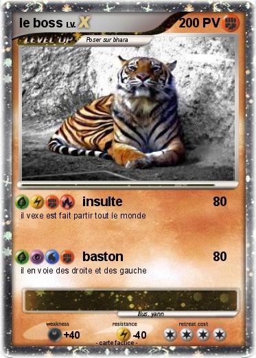 Pokemon le boss