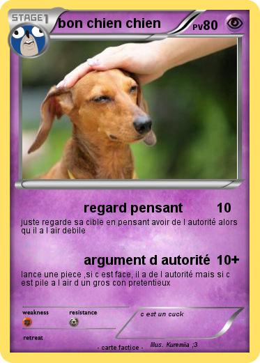 Pokemon bon chien chien