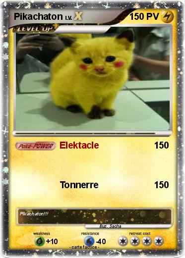 Pokemon Pikachaton