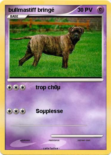 Pokemon bullmastiff bringé