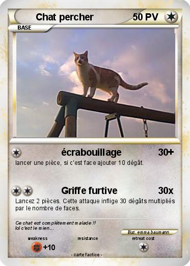 Pokemon Chat percher