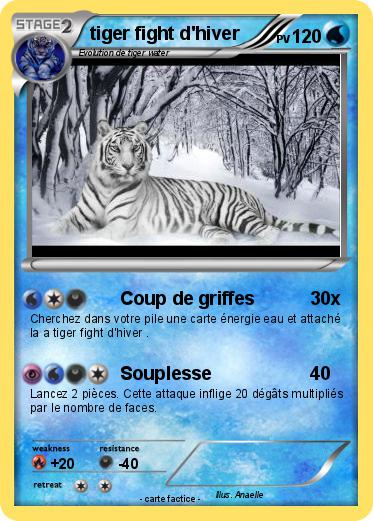 Pokemon tiger fight d'hiver
