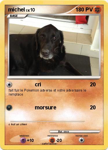 Pokemon michel