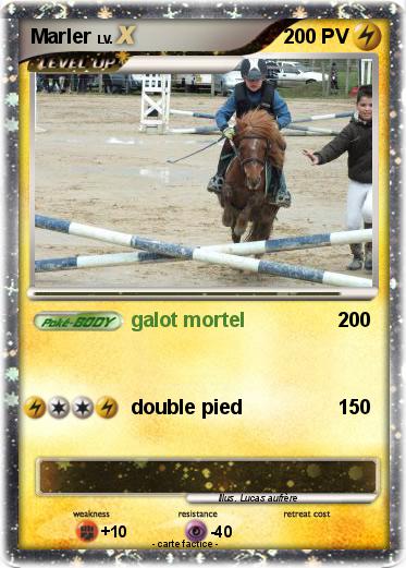 Pokemon Marler