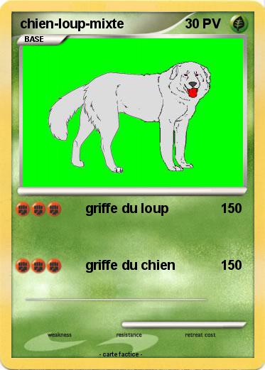 Pokemon chien-loup-mixte