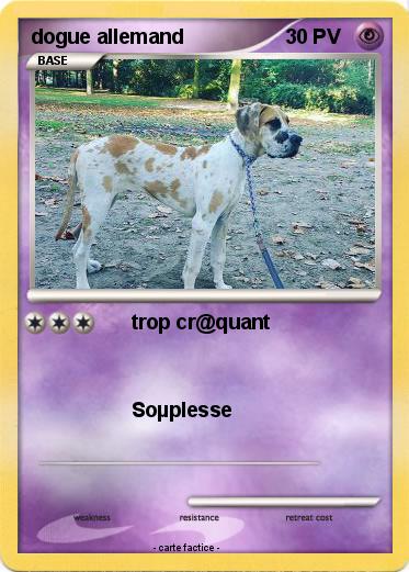 Pokemon dogue allemand