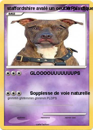 Pokemon staffordshire avalé un oeuf en plastique