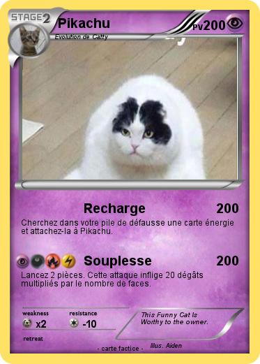 Pokemon FUNNNNNNNY CAT