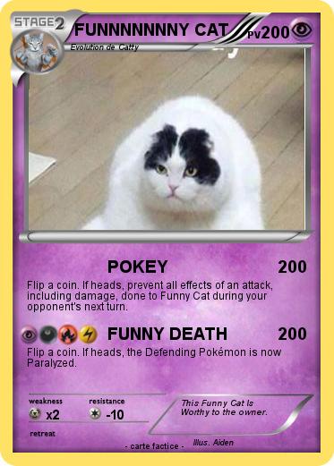 Pokemon FUNNNNNNNY CAT