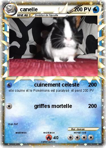 Pokemon canelle
