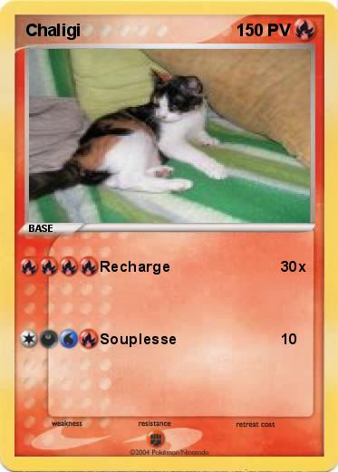Pokemon Chaligi