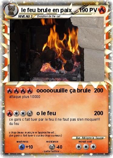 Pokemon le feu brule en paix