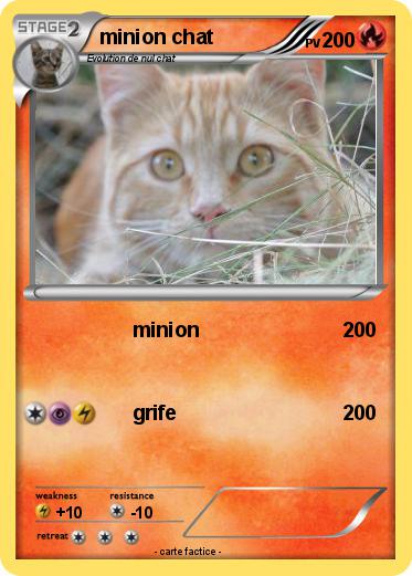 Pokemon minion chat