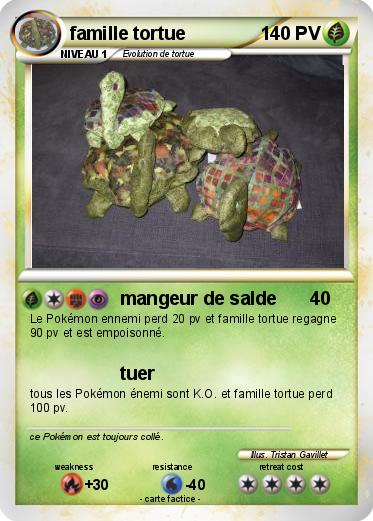 Pokemon famille tortue
