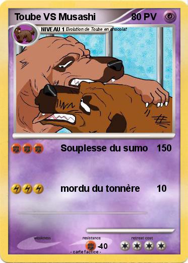 Pokemon Toube VS Musashi
