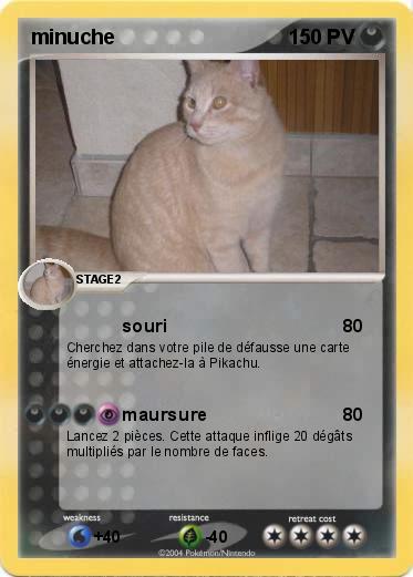 Pokemon minuche
