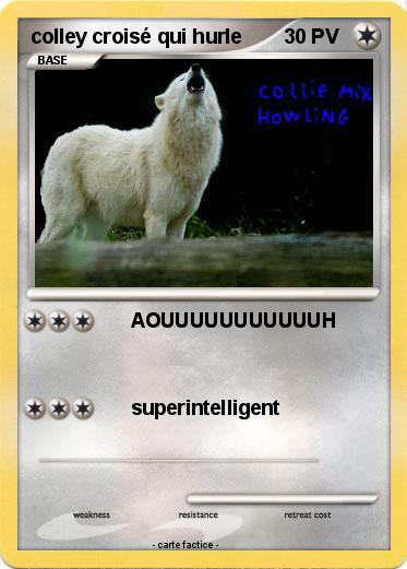 Pokemon colley croisé qui hurle