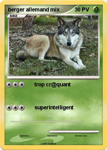 Pokemon berger allemand mix