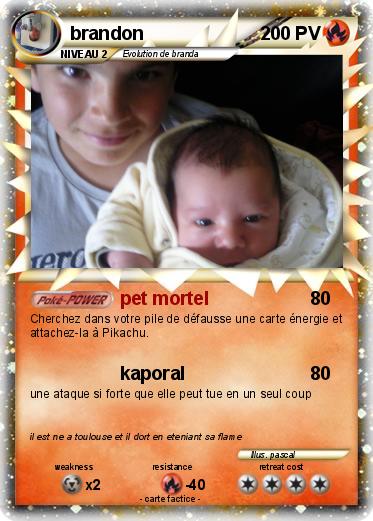 Pokemon brandon