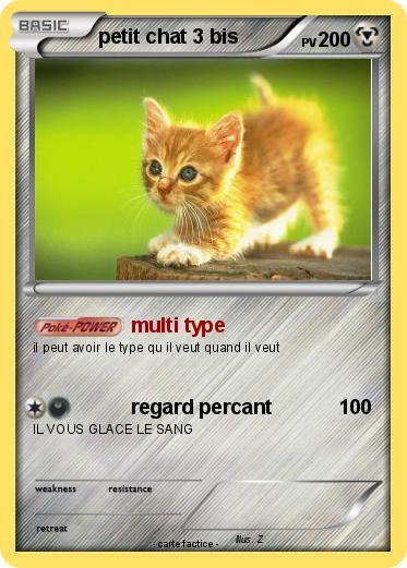 Pokemon petit chat 3 bis