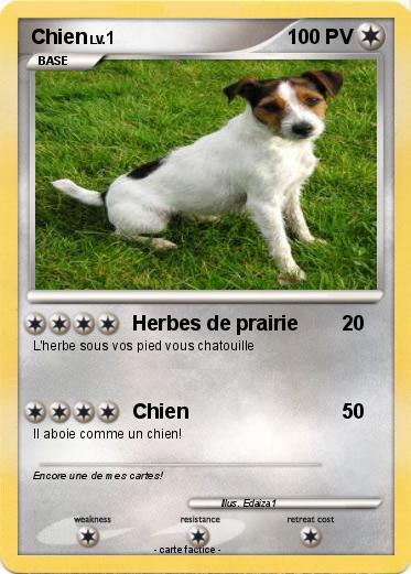 Pokemon Chien