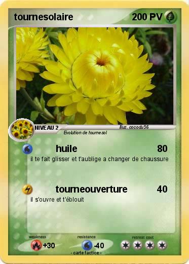 Pokemon tournesolaire