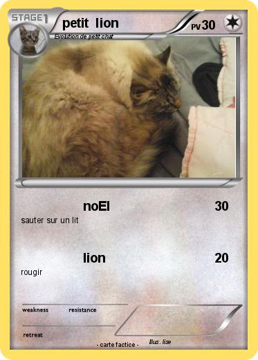 Pokemon petit  lion