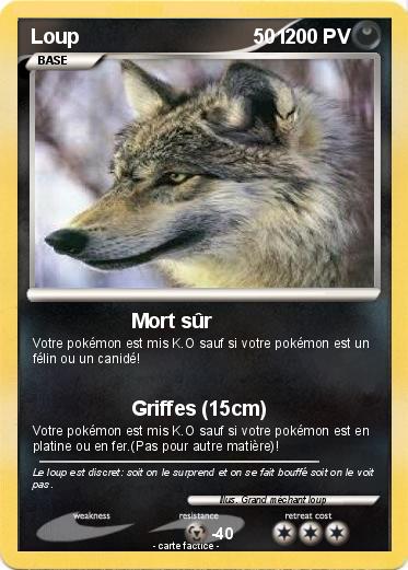 Pokemon Loup                               501