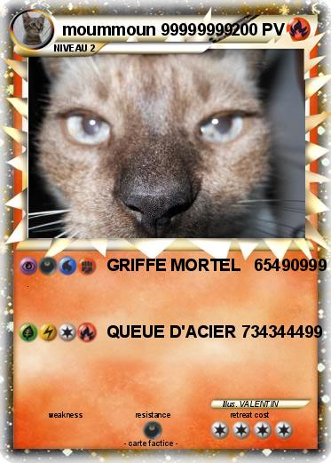 Pokemon moummoun 99999999