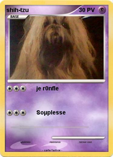 Pokemon shih-tzu