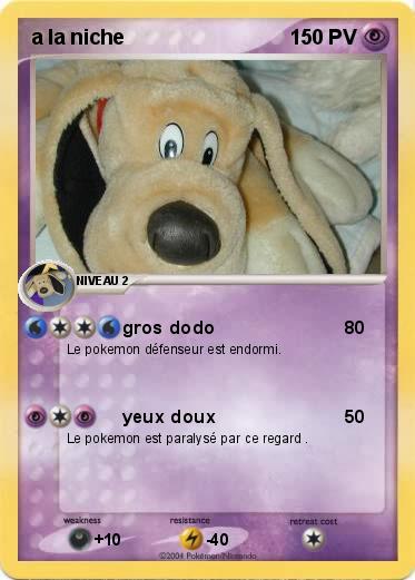 Pokemon a la niche