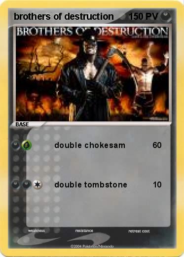 Pokemon brothers of destruction
