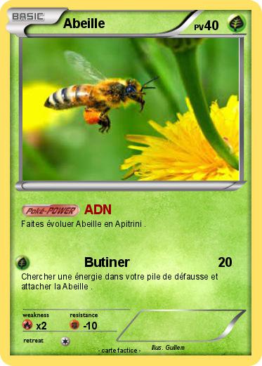 Pokemon Abeille