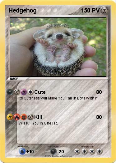 Pokemon Hedgehog