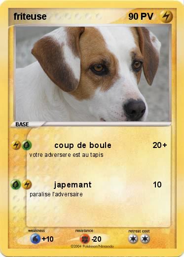 Pokemon friteuse