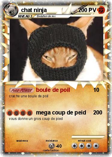 Pokemon chat ninja