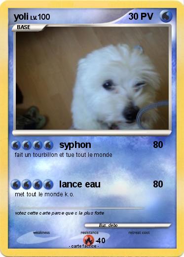 Pokemon yoli