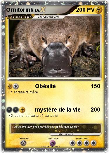 Pokemon Ornitorink