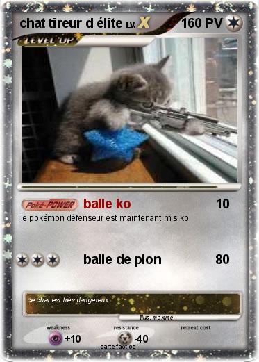 Pokemon chat tireur d élite