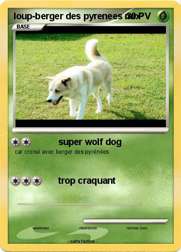 Pokemon loup-berger des pyrenees mix