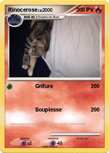 Pokemon Rinocerose